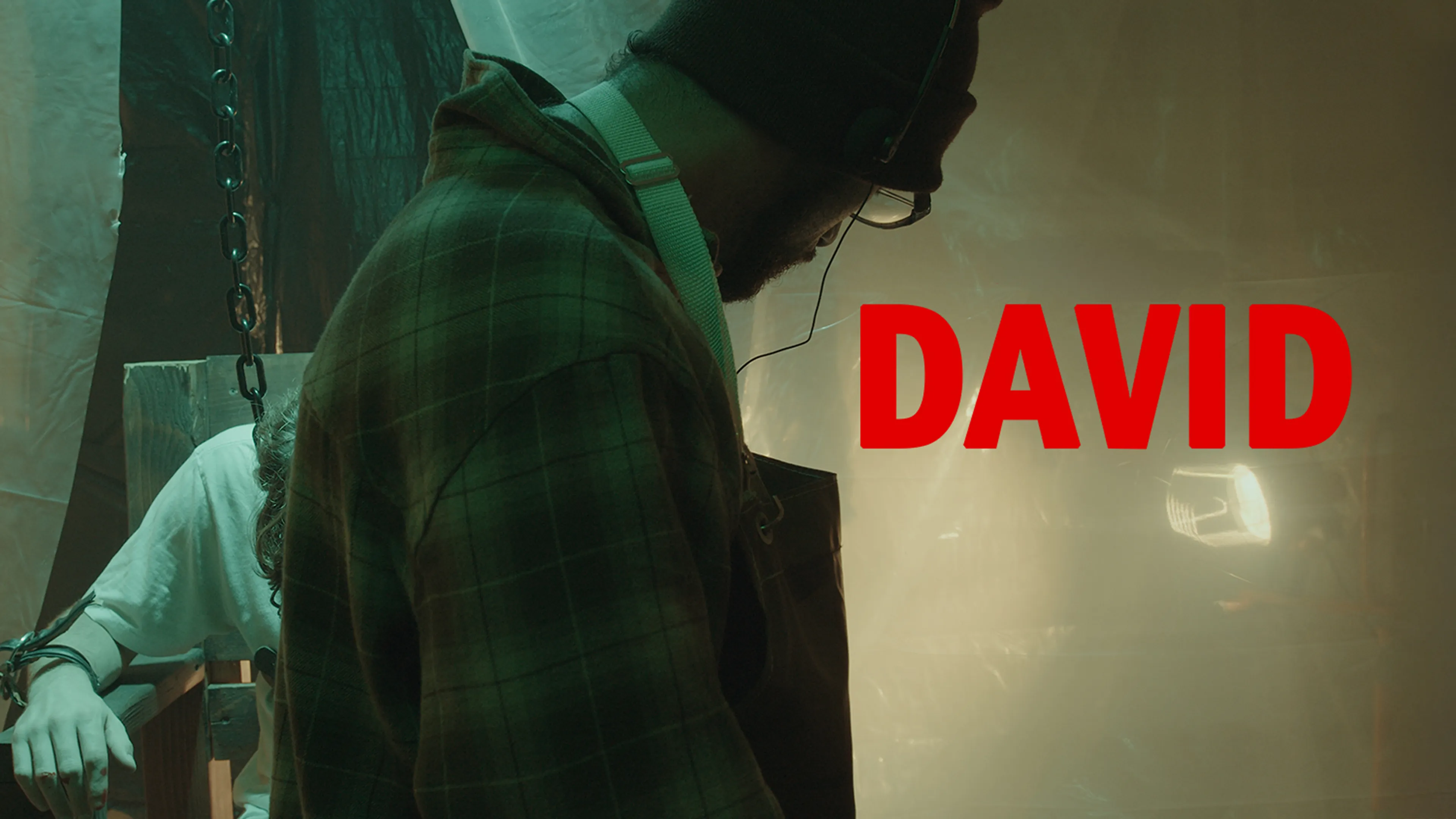 David poster